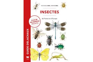 Insectes de France et d'Europe